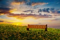 A church pew in a field