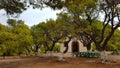 Church in pine trees, Lavrion, Greece Royalty Free Stock Photo