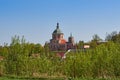 Russian Orthodox Church, national religious organization