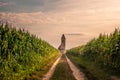 Church ruins in Hungary in the middle of a cornfield. She stands on Lake Balaton in Somogyvamos, photographed romantic sunset Royalty Free Stock Photo