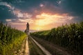 Church ruins in Hungary in the middle of a cornfield. She stands on Lake Balaton in Somogyvamos, photographed romantic sunset Royalty Free Stock Photo