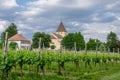 Church of Saint George with Vineyard on Reichenau Island, Germany Royalty Free Stock Photo
