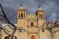 Church of Santo Domingo de Guzman in oaxaca city VII Royalty Free Stock Photo