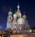 Church of the Savior on Spilled Blood at night, Saint Petersburg, Russia Royalty Free Stock Photo