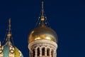 Church of the Savior on Spilled Blood - Saint Petersburg, Russia Royalty Free Stock Photo