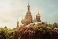 Church of the Saviour on Spilled Blood or Cathedral of the Resurrection of Christ St. Petersburg, Russia Royalty Free Stock Photo