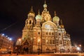 Church of the Saviour on Spilled Blood in the winter Royalty Free Stock Photo