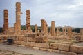Ruins of Sufetula ancient city, Tunisia