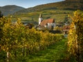 Church of Spitz an der Donau and vineyards on a sunny day in autumn