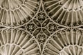 Church of St John the Baptist St Catherine Chapel Vault Ceiling