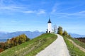 The church of St. Primoz in Slovenia near Jamnik with colorful autumn trees and blue sky Royalty Free Stock Photo