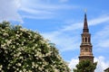 Church steeple and flowers Royalty Free Stock Photo