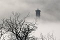 Church steeple and tree branches in fog Royalty Free Stock Photo