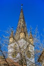 Church tower masked by tree. Sibiu old lutheran cathedral tower.