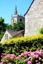 Church tower and pretty plants, Castle Combe. Royalty Free Stock Photo