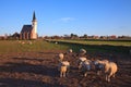 Church in a village at sunset Royalty Free Stock Photo