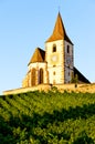 Church with vineyard Royalty Free Stock Photo