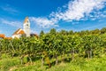 Church and Vineyard-Meersburg,Germany,Europe Royalty Free Stock Photo