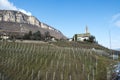 Church and vineyard in Tyrol Royalty Free Stock Photo