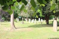 Church yard