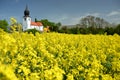 Church in yellow field Royalty Free Stock Photo
