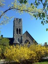 Church: yellow spring flowers Royalty Free Stock Photo