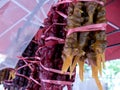 Traditional georgian caucassian sweets on a market