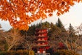 Chureito Pagoda in autumn with Fall foliage, Fujiyoshida, Japan Royalty Free Stock Photo