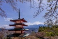 Chureito Pagoda, Fujiyoshida, one of the most famous views of Mount Fuji and Japan with cherry blossoms known as sakura