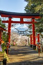 Red Torii Gate with Fuji Mountain Background in Spring Sakura Festival at Chureito Pagoda,  Japan Royalty Free Stock Photo