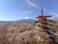 Chureito Pagoda and Mount Fuji, Japan Royalty Free Stock Photo