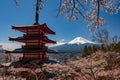 Chureito Pagoda and Mt. Fuji in the spring time with cherry blossoms at Fujiyoshida, Japan. Mount Fuji is Japan tallest mountain Royalty Free Stock Photo