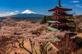 Chureito Pagoda and Mt. Fuji in the spring time with cherry blossoms at Fujiyoshida, Japan. Mount Fuji is Japan tallest mountain Royalty Free Stock Photo