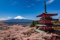 Chureito Pagoda and Mt. Fuji in the spring time with cherry blossoms at Fujiyoshida, Japan. Mount Fuji is Japan tallest mountain Royalty Free Stock Photo