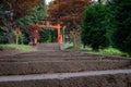 Chureito Pagoda`s gate, Yamanashi, Japan Royalty Free Stock Photo