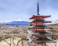 Chureito Pagoda and sakura view with Mt.fuji Background Royalty Free Stock Photo