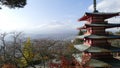 Chureito Pagoda Temple with red maple leaves or fall foliage in autumn season Royalty Free Stock Photo