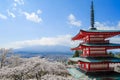 Chureito red Pagoda with beautiful Cherry Blossom or pink Sakura flower tree and Mount Fuji against blue sky. Spring Season at Royalty Free Stock Photo