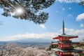 Chureito red Pagoda with beautiful Cherry Blossom or pink Sakura flower tree and Mount Fuji against blue sky. Spring Season at Royalty Free Stock Photo