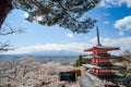 Chureito red Pagoda with beautiful Cherry Blossom or pink Sakura flower tree and Mount Fuji against blue sky. Spring Season at Royalty Free Stock Photo