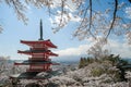 Chureito red Pagoda with beautiful Cherry Blossom or pink Sakura flower tree and Mount Fuji against blue sky. Spring Season at Royalty Free Stock Photo