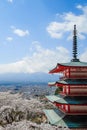 Chureito red Pagoda with beautiful Cherry Blossom or pink Sakura flower tree and Mount Fuji against blue sky. Spring Season at Royalty Free Stock Photo