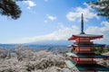 Chureito red Pagoda with beautiful Cherry Blossom or pink Sakura flower tree and Mount Fuji against blue sky. Spring Season at Royalty Free Stock Photo