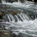 Churning water flows over rocks, creating a dynamic display of bubbles and splashes. Royalty Free Stock Photo