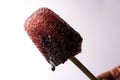 Chuski Or Baraf ka Gola also known as Ice candy, popular roadside refreshment in Indian summer Royalty Free Stock Photo