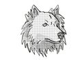 Chusky mixed breed Dog Breed Cartoon Retro Drawing