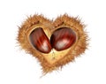 Love hearts valentines red chestnuts nest isolated for