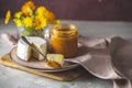 Chutney apricot with blue or bleu cheese on pink plate. Tasty food close up view Royalty Free Stock Photo