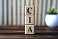 CIA- acronym on wooden cubes on the background of books and a cactus