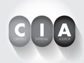 CIA - Certified Internal Auditor acronym, business concept background